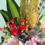 A Garden of Dreams - Image 2