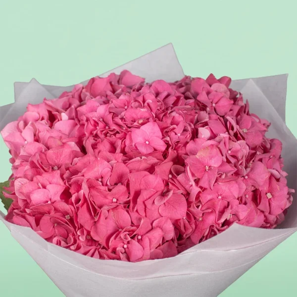 Beautiful Pink Hydrangea Bouquet
