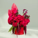 Crimson Rose Amaranthus Box