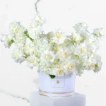 Serene White Box