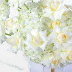 Serene White Box - Image 2