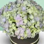 Pastel Hydrangea Bloom Box - Image 2