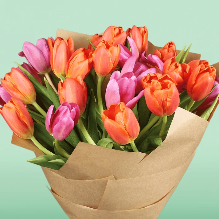 Summer-Tulip-3 Summer Mixed Tulip Bouquet - Image 1