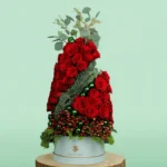 Christmas Present - Tree Shaped - christmas rose plant