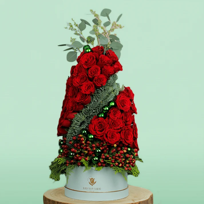 Tree-Shaped-christmas-rose-plant-3 Christmas Present - Tree Shaped - christmas rose plant - Image 1