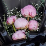 5 Stem Pink Peony Bouquet - Image 2