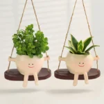 Smiley Green Duo Plants