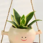 Smiley Green Duo Plants - Image 3