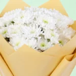 White Floral Symphony Chrysanthemum Bouquet - Image 3